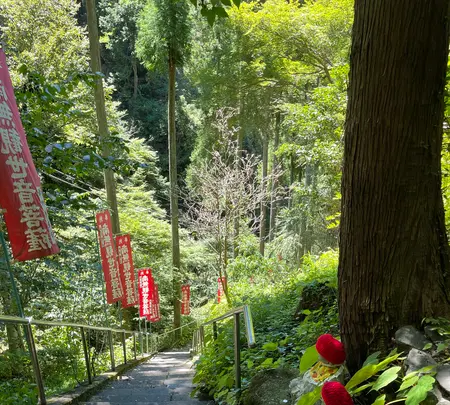 札所三十一番 観音院の写真・動画_image_452488