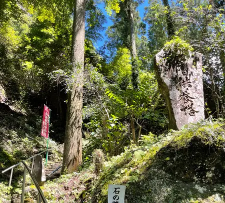 札所三十一番 観音院の写真・動画_image_452492