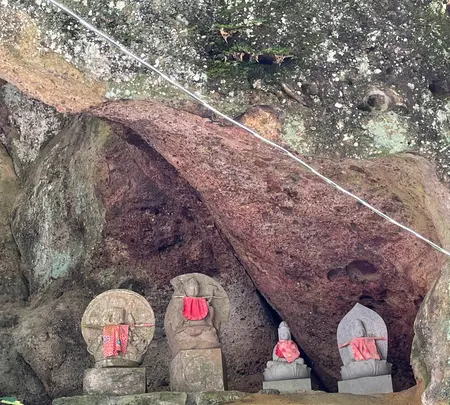 札所三十一番 観音院の写真・動画_image_452495