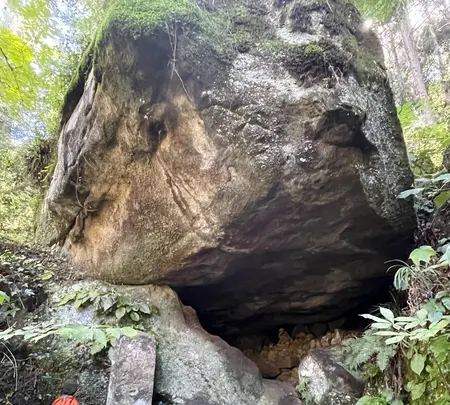 秩父札所三十二番法性寺（般若お舟観音）の写真・動画_image_452528