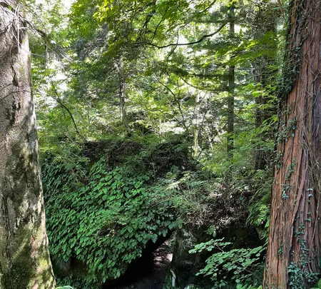 秩父札所三十二番法性寺（般若お舟観音）の写真・動画_image_452531