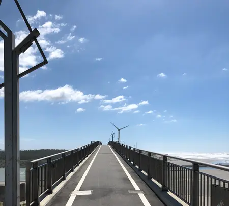 潮騒橋の写真・動画_image_452669