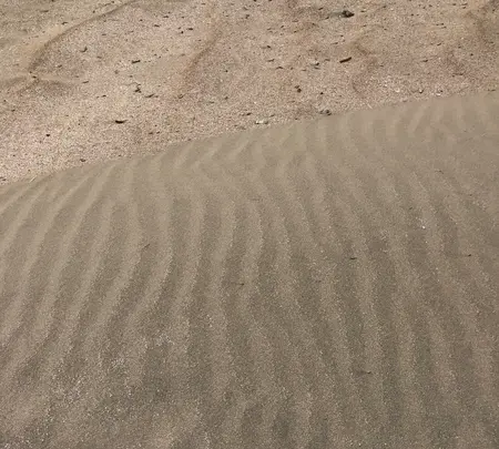 浜岡砂丘の写真・動画_image_452715