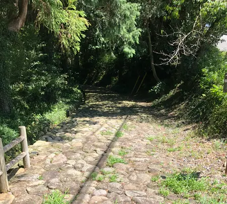 旧東海道 金谷坂 石畳下り口の写真・動画_image_452747