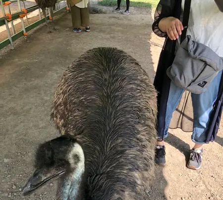 掛川花鳥園の写真・動画_image_452764