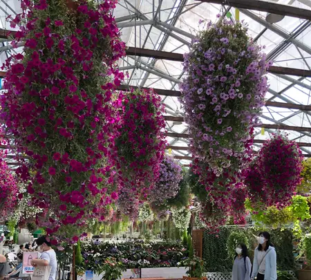 掛川花鳥園の写真・動画_image_452765