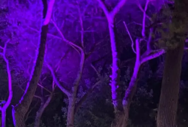 NIWA Food & Drinkの写真・動画_image_452781