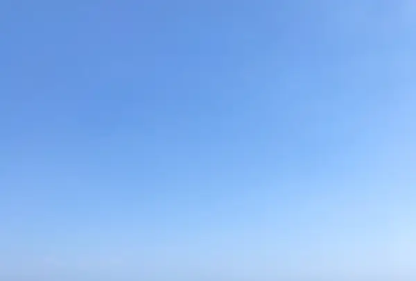 Da Luigiの写真・動画_image_452792