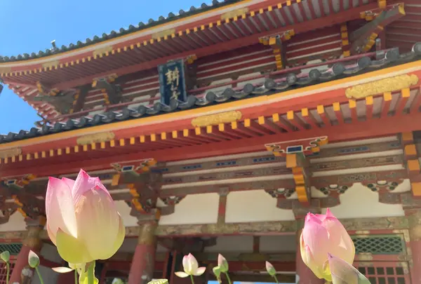 耕三寺・耕三寺博物館の写真・動画_image_452971