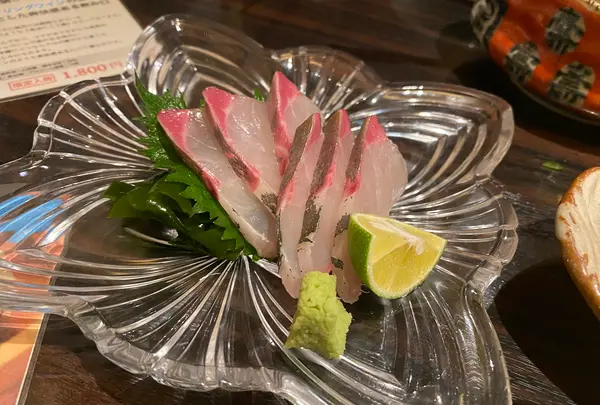 徳島魚一番 新の写真・動画_image_453124