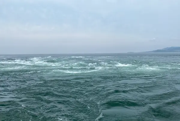 うずしお観潮船の写真・動画_image_453131