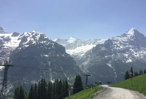 First Mountain Cartの写真・動画_image_453170