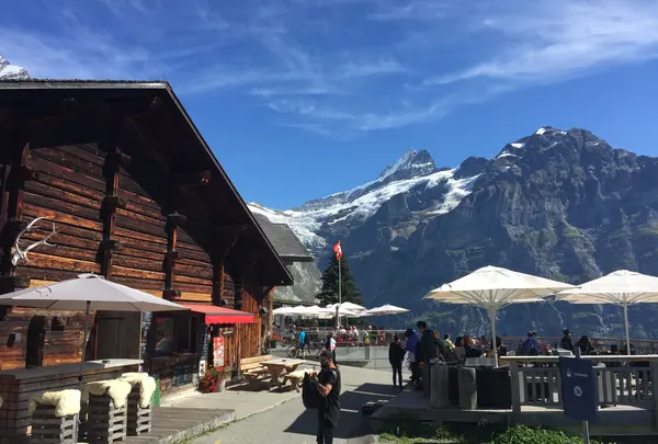 First Mountain Cartの写真・動画_image_453172