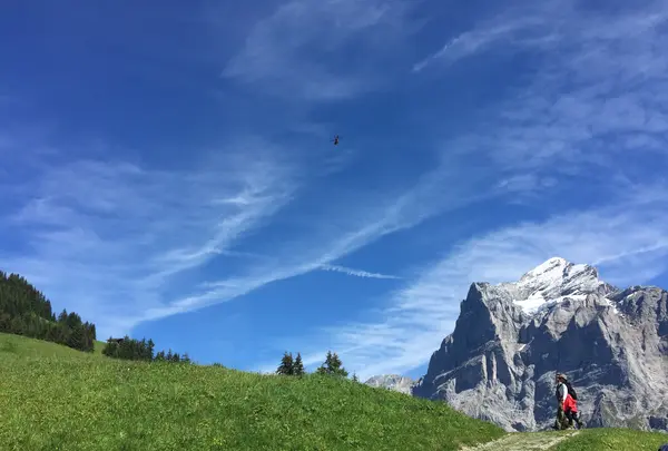 First Mountain Cartの写真・動画_image_453178