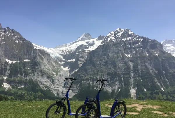 First Trottibike Scooterの写真・動画_image_453193