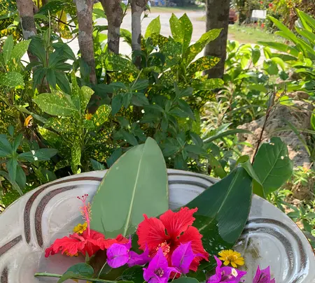 やちむんの里の写真・動画_image_453202