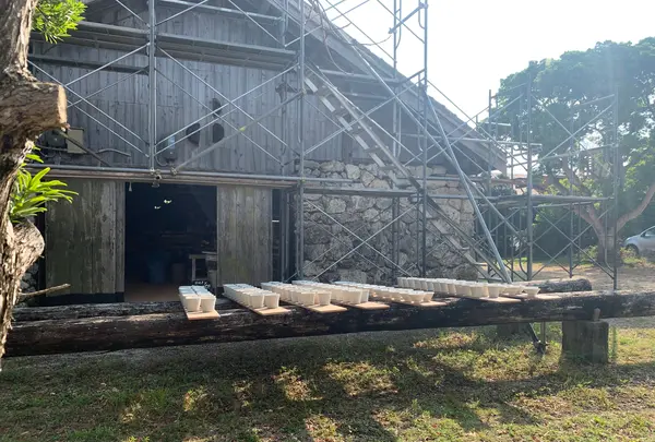 やちむんの里の写真・動画_image_453205