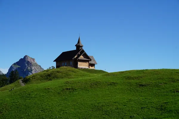 シュトースの写真・動画_image_453483