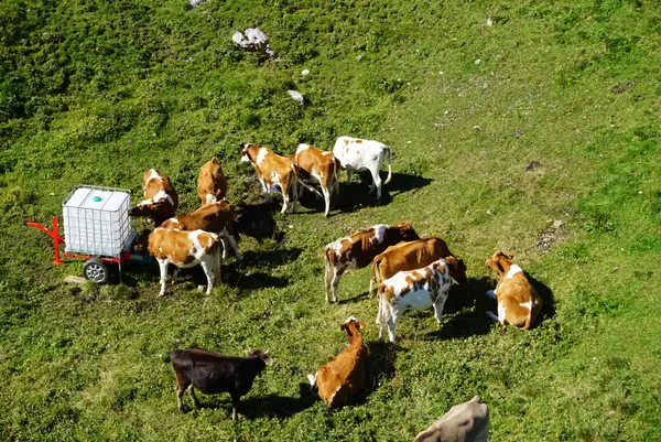 フロナルプシュトックの写真・動画_image_453492