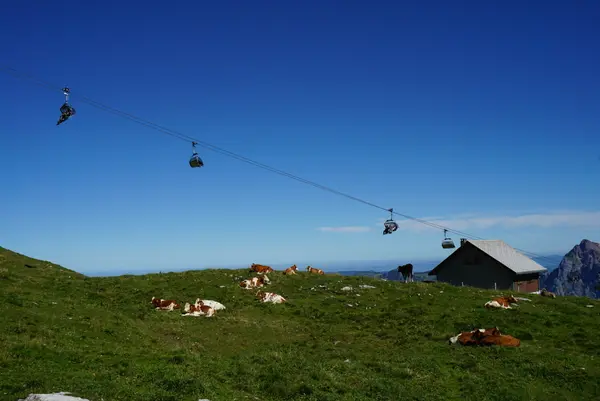 フロナルプシュトックの写真・動画_image_453501