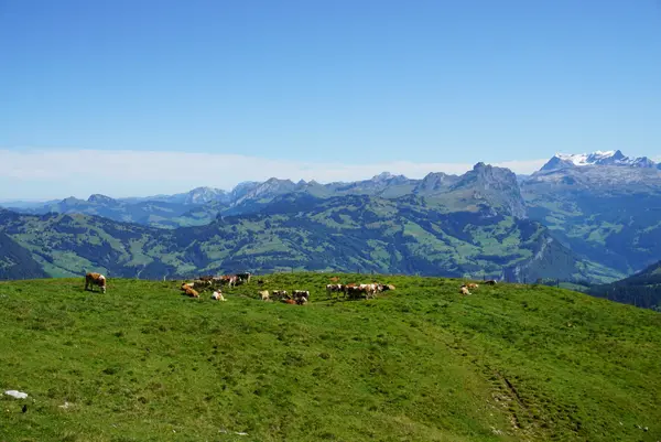 フロナルプシュトックの写真・動画_image_453512