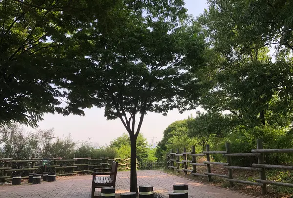 ハヌル公園/ハヌルコンウォン/하늘공원の写真・動画_image_453779