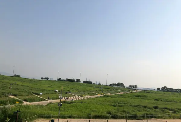 ハヌル公園/ハヌルコンウォン/하늘공원の写真・動画_image_453781