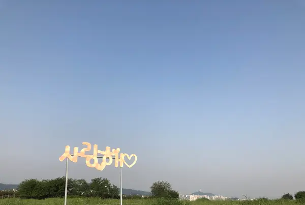 ハヌル公園/ハヌルコンウォン/하늘공원の写真・動画_image_453782
