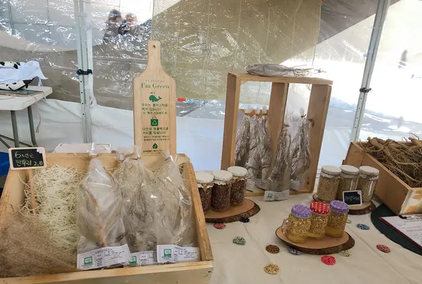 東大門デザインプラザ(DDP)/동대문디자인플라자の写真・動画_image_453784