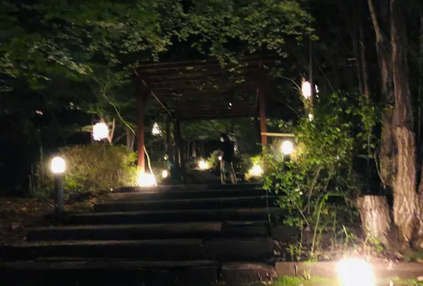 鬼怒川プラザホテル鬼燈亭の写真・動画_image_454040