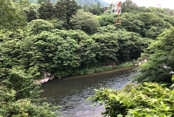 鬼怒川ライン下りの写真・動画_image_454058