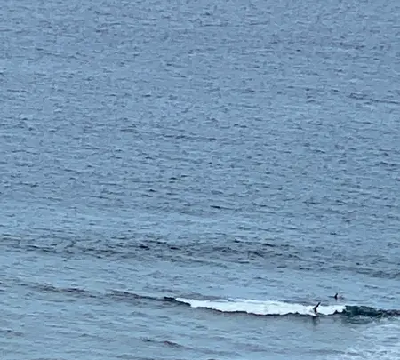 果報バンタの写真・動画_image_454181