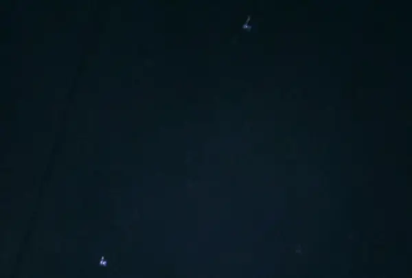 残波岬の写真・動画_image_454193