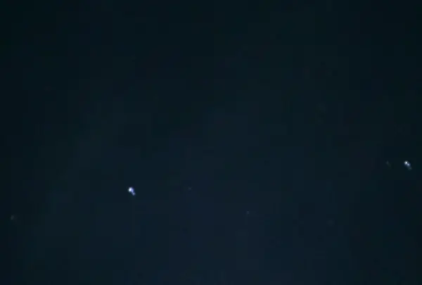 残波岬の写真・動画_image_454196
