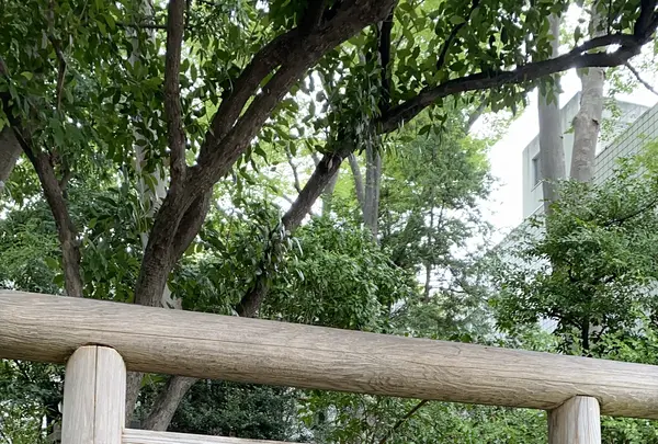 猿楽神社の写真・動画_image_454658
