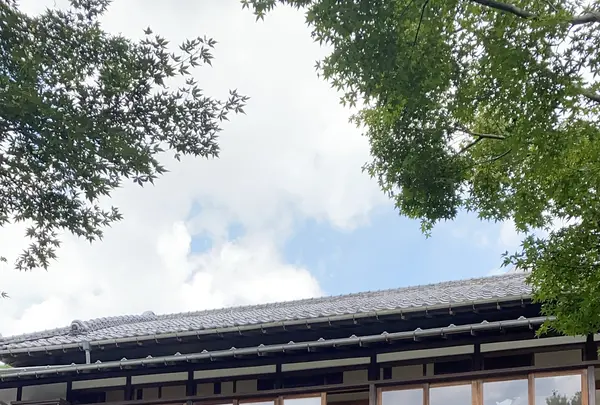 旧朝倉家住宅の写真・動画_image_454666