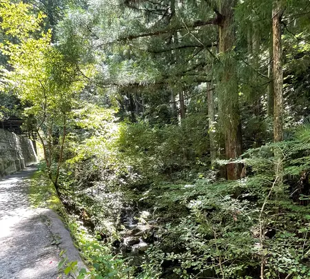 水潜寺の写真・動画_image_454732
