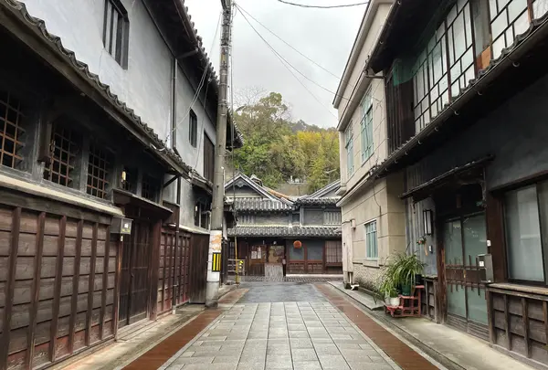 カフェ青の写真・動画_image_454783