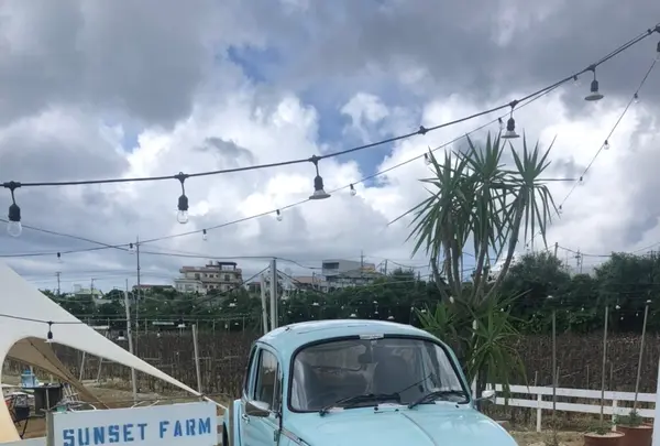 SunSet Farmの写真・動画_image_454907