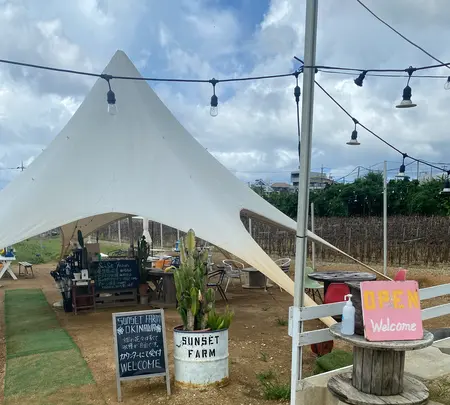 SunSet Farmの写真・動画_image_454914