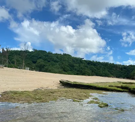 あーまん！Beachの写真・動画_image_454923