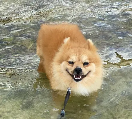 あーまん！Beachの写真・動画_image_454924