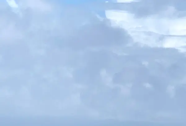 くるくまの森 展望広場の写真・動画_image_455255