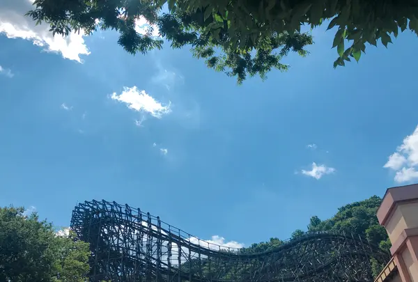 エバーランド/에버랜드の写真・動画_image_455407