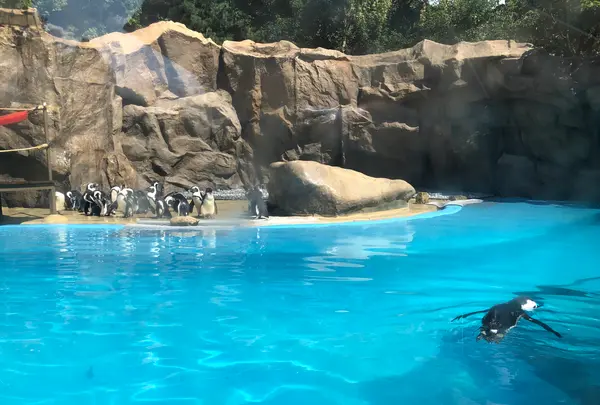 エバーランド/에버랜드の写真・動画_image_455410