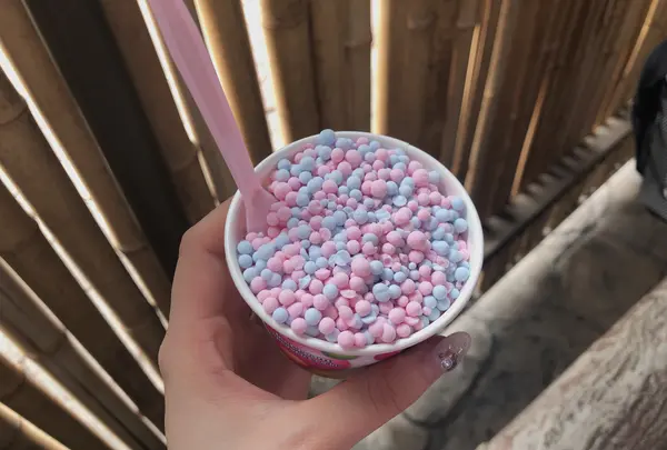 エバーランド/에버랜드の写真・動画_image_455412