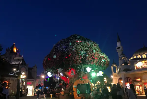 エバーランド/에버랜드の写真・動画_image_455413