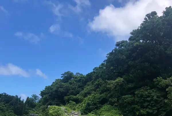 知念城跡の写真・動画_image_455446