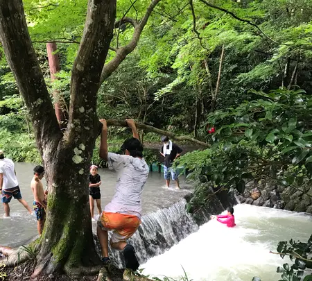 小國神社の写真・動画_image_455489