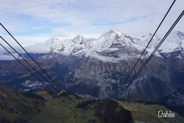 ビルグの写真・動画_image_455664